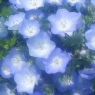 神さんのアイコン画像