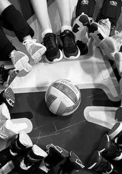 青色の価値証明