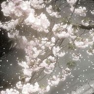 y_nさんのアイコン画像