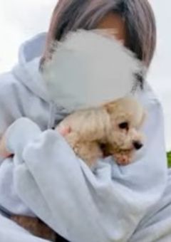 推し活禁止の学校で。あっきぃさんver