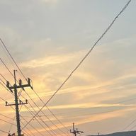 ねんねこさんのアイコン画像