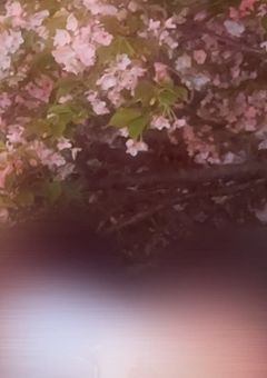 おかしなことになりそうだ