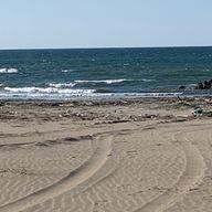 時雨レモンさんのアイコン画像