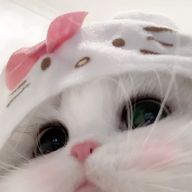 宇宙さんのアイコン画像