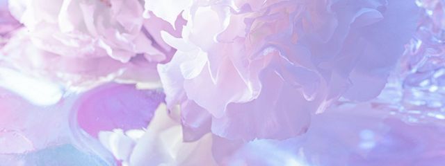 花恋さんの壁紙画像