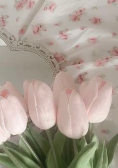 uriとyuannのもも