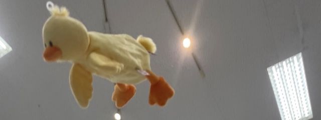 かひさんの壁紙画像