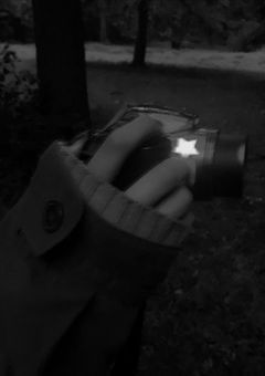 義理の弟達に愛されてます。