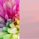 虹花&YOU