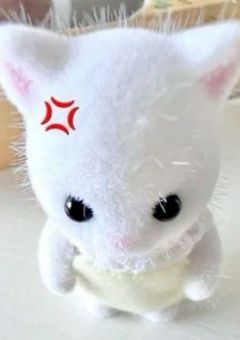　♡:　tag　