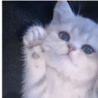 彩歌 .さんのアイコン画像