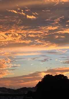 貴方はどちらを選びますか？