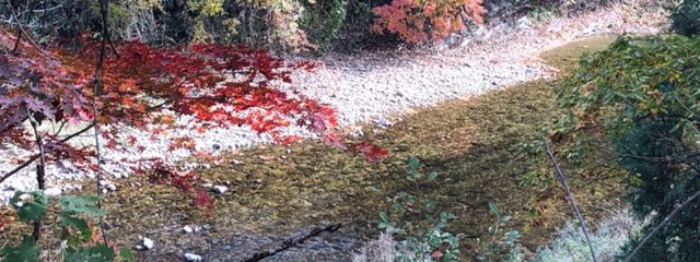 かのまるさんの壁紙画像