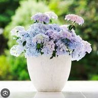 runaさんのアイコン画像