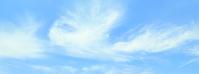 らぐすさんの壁紙画像
