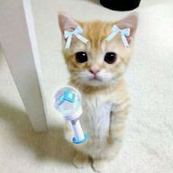 🐈さんのアイコン画像