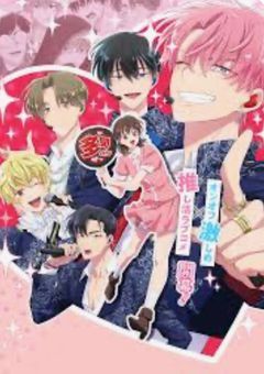 F/ACEに愛されてみない？