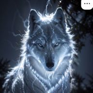 くろ(フォロワー♾️さんのアイコン画像