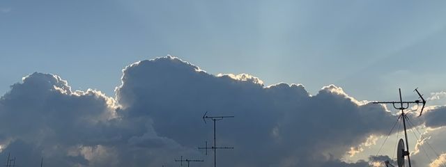 白   夢さんの壁紙画像