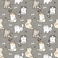 カイリさんのアイコン画像