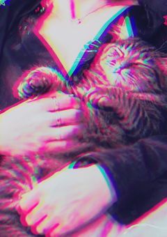 好奇心は猫に沈む