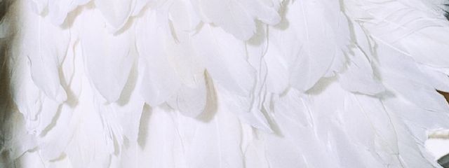 pnzさんの壁紙画像