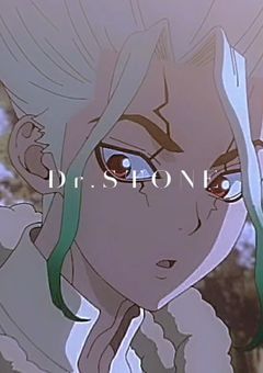  秘 密 警 察 と 石 の 世 界 【   Dr.STONE  】