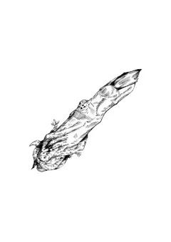 宿儺の指食ったヤツいるんで日本帰ります❷