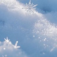 りんかさんのアイコン画像