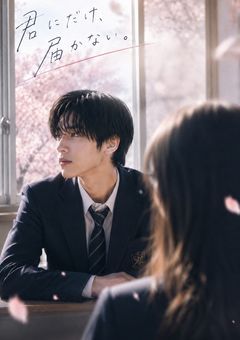 君 に だ け 、 届 か な い .
