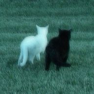 mee.さんのアイコン画像