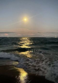  ʙʟ ᴅʀᴀᴍᴀ  ⋆˙⟡  