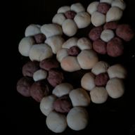 霏奈那　 低浮上さんのアイコン画像