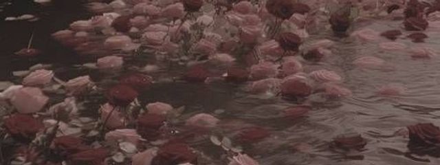 あたっくさんの壁紙画像