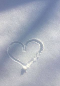 かっこいい大人を目指している人達は好きな子の前ではかっこよくなれないらしい【njsj:参加型】
