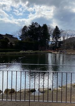 雑談です✨
