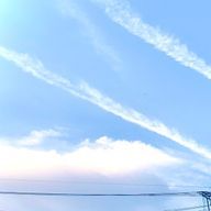 くれはさんのアイコン画像