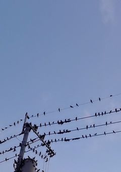 リスカ日記とODレポと病みお役立ち情報