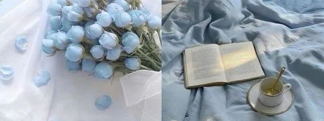 아오🎧𓈒 𓂂𓏸さんの壁紙画像