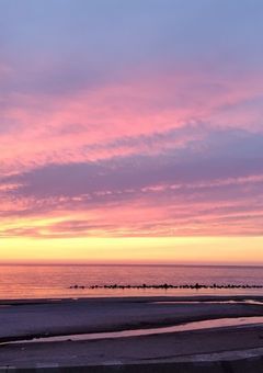 みんなから愛され注意報!?