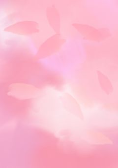 夢で逢えたなら