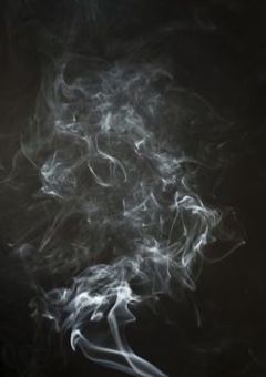 推しに監禁されました。