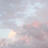 八咫烏さんのアイコン画像