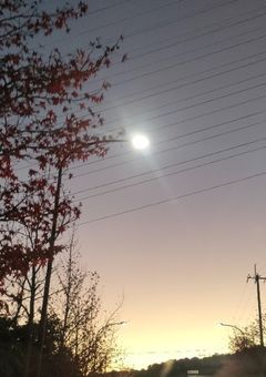 あの人の彼女はバトミントン部