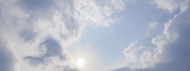 林檎だいふくさんの壁紙画像