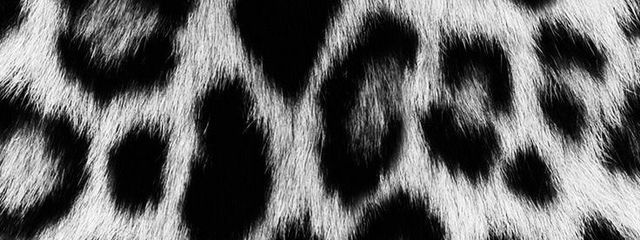 ²woo ✯ｻﾌﾞさんの壁紙画像