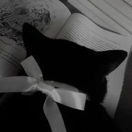 ²woo ✯ｻﾌﾞさんのアイコン画像