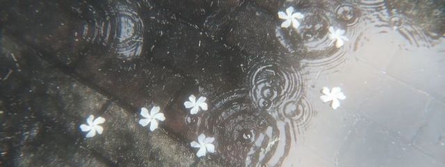 m.さんの壁紙画像