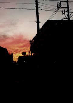 計画の為の誘拐だそうで