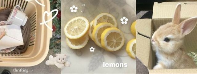 CHOICE.🐝🍯さんの壁紙画像